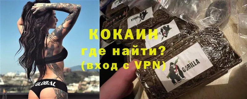 дарк нет клад  Палласовка  COCAIN Эквадор 