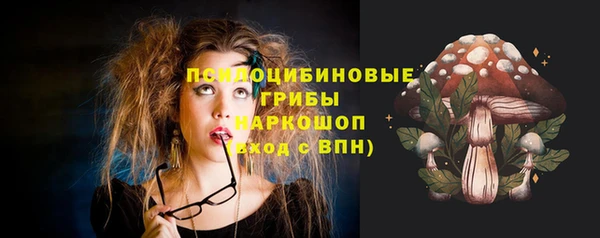 мдпв Няндома