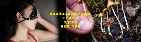 мдпв Няндома