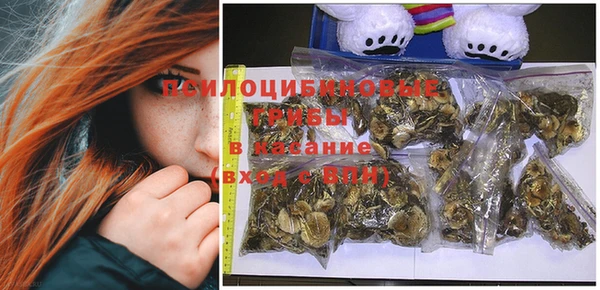 соль курить ск Новозыбков