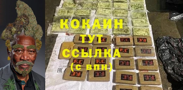 мдпв Няндома