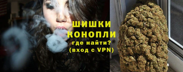 мдпв Няндома