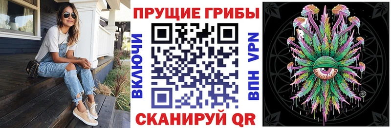 купить  сайты  Палласовка  Псилоцибиновые грибы ЛСД 