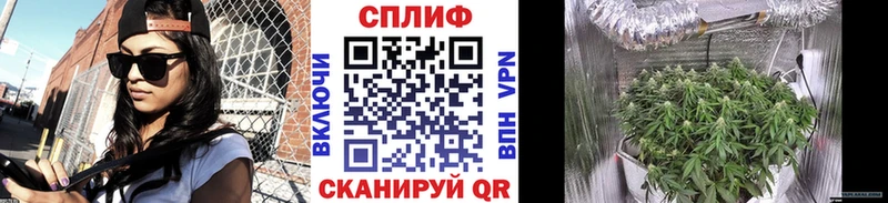 купить наркоту  мориарти наркотические препараты  Бошки Шишки Amnesia  Палласовка 